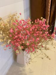 -西美医疗美容门诊部