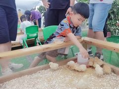 -长洲岛都市农业公园