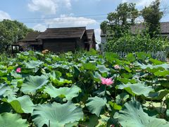 -七的湖·晚芳亭·阳澄湖农家菜·大闸蟹(莲花岛店)