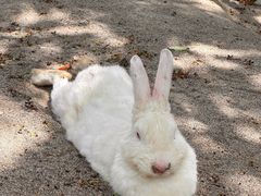 -水上乐园·欢乐世界