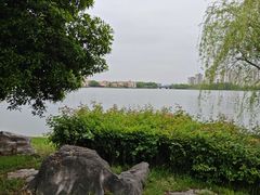 -金鸡湖景区