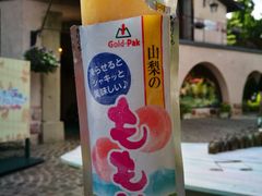 -河口湖八音盒之森美术馆