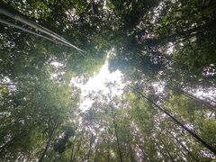 -泰山风景名胜区-普照寺