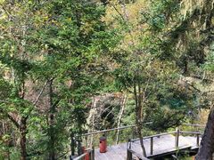 景点-叠溪松坪沟景区