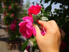 -广富林郊野公园