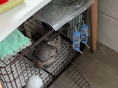 -达爱动物医院·犬猫分区·CT·复杂眼科(远洋山水分院)