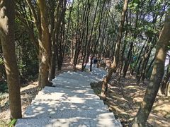 -火炉山森林公园