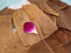 -蜀留香火锅(社会山店)