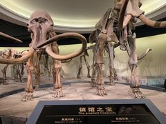 -大庆市博物馆