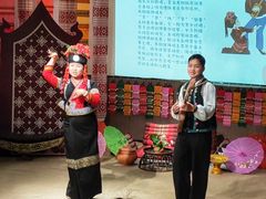 -西双版纳原始森林公园