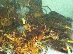 -勝記酒家·37年老字号·经典粤菜(荔枝公园店)