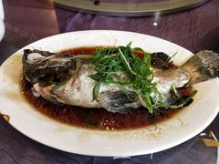 清蒸石斑鱼-盛港湾海鲜食府(黄沙店)