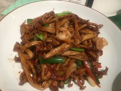 XO酱爆白玉菇虾仁-大树餐厅(红旗街万达店)