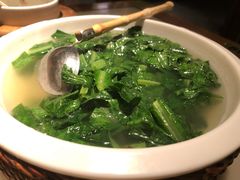 鸡汤苦麦菜-客语客家菜(琶洲保利店)
