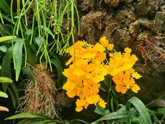 -北京植物园-展览温室