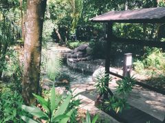 -三亚珠江南田温泉度假区