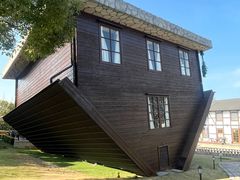 -金山农民画村-枫泾波兰倒置屋