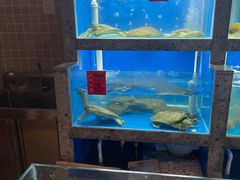 -湘满甲·黄焖甲鱼创始者·湘菜·鲁菜(潘家园店)