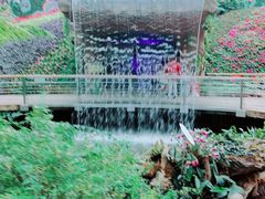 -花之城
