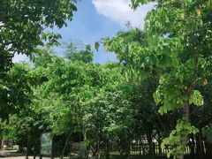 -南丹山森林王国