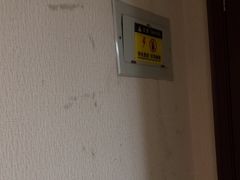 -随州碧桂园凤悦凤凰酒店