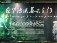 -诸城市恐龙博物馆