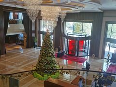 -长沙芙蓉国温德姆至尊豪廷大酒店 - 自助餐厅