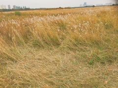 -赛汗塔拉风情园