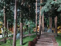 -吉林省自然博物馆