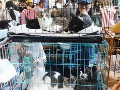 -瑞虹新天地月亮湾