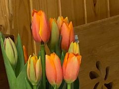 -循礼门鲜花花市(武汉循礼门店)