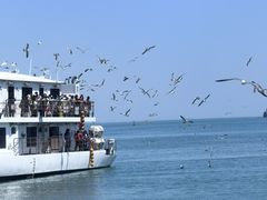 -海驴岛(荣成市)