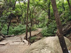 -大岭沟猕猴桃谷风景区