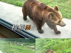-上海野生动物园