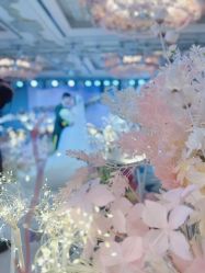 -曼格纳婚礼艺术中心(张江店)