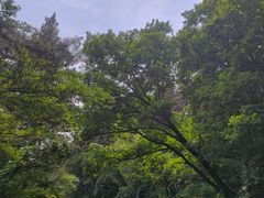 -萨尔浒风景区