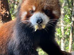 -普洱太阳河森林公园
