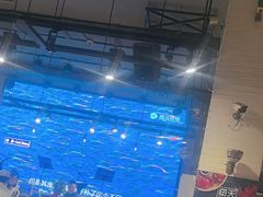 -海天盛宴新派海鲜自助餐厅(群力店)
