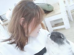 -李小姐の猫咖啡馆(五角场店)