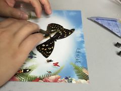 -上海昆虫博物馆