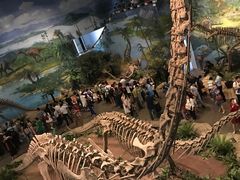 -自贡恐龙博物馆