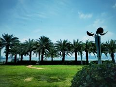 -荣誉海鲜酒楼(海湾店)