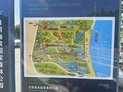 -日照海滨国家森林公园