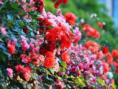 -上海科技馆(地铁站)