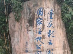 -重庆彩云湖湿地公园