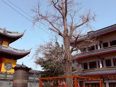 -上海青龙寺