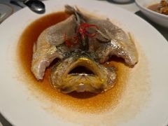 -芙蓉堂(武汉天地店)