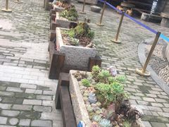 -天怡·鱼工厂(临江店)