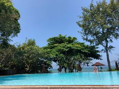 -卷心菜和避孕套餐厅(Pattaya)
