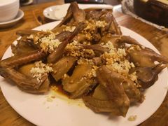 -百利鸽王(紫薇路店)